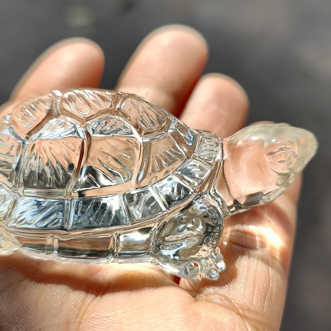Small Turtle Mold - Image 2