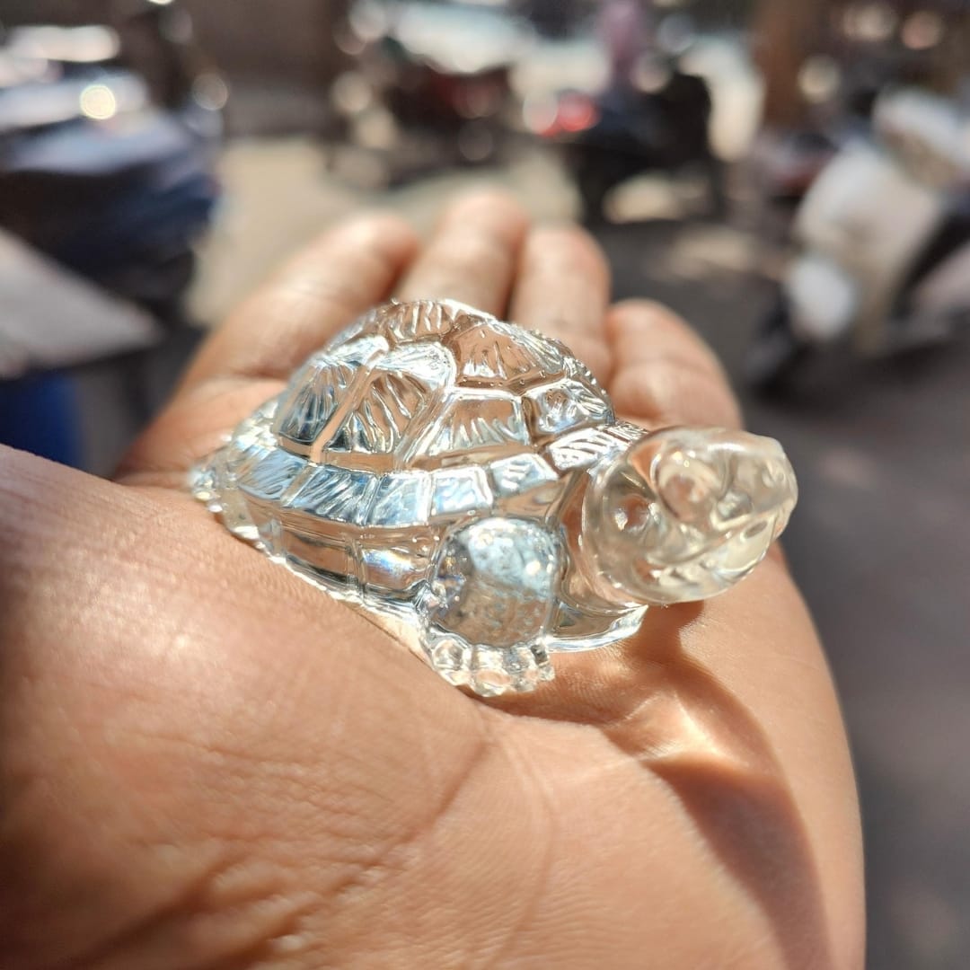 Small Turtle Mold - Image 4