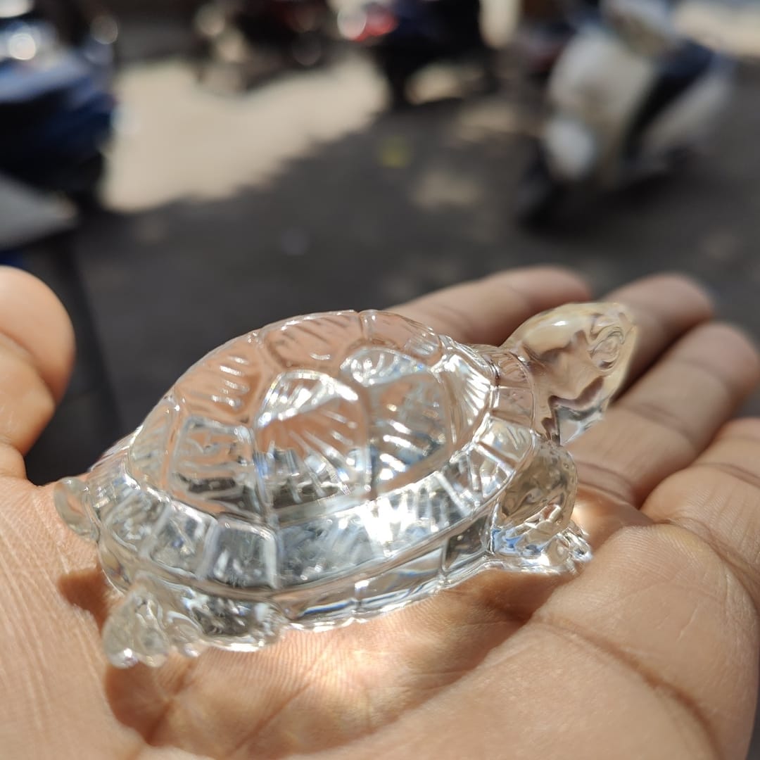 Small Turtle Mold - Image 5