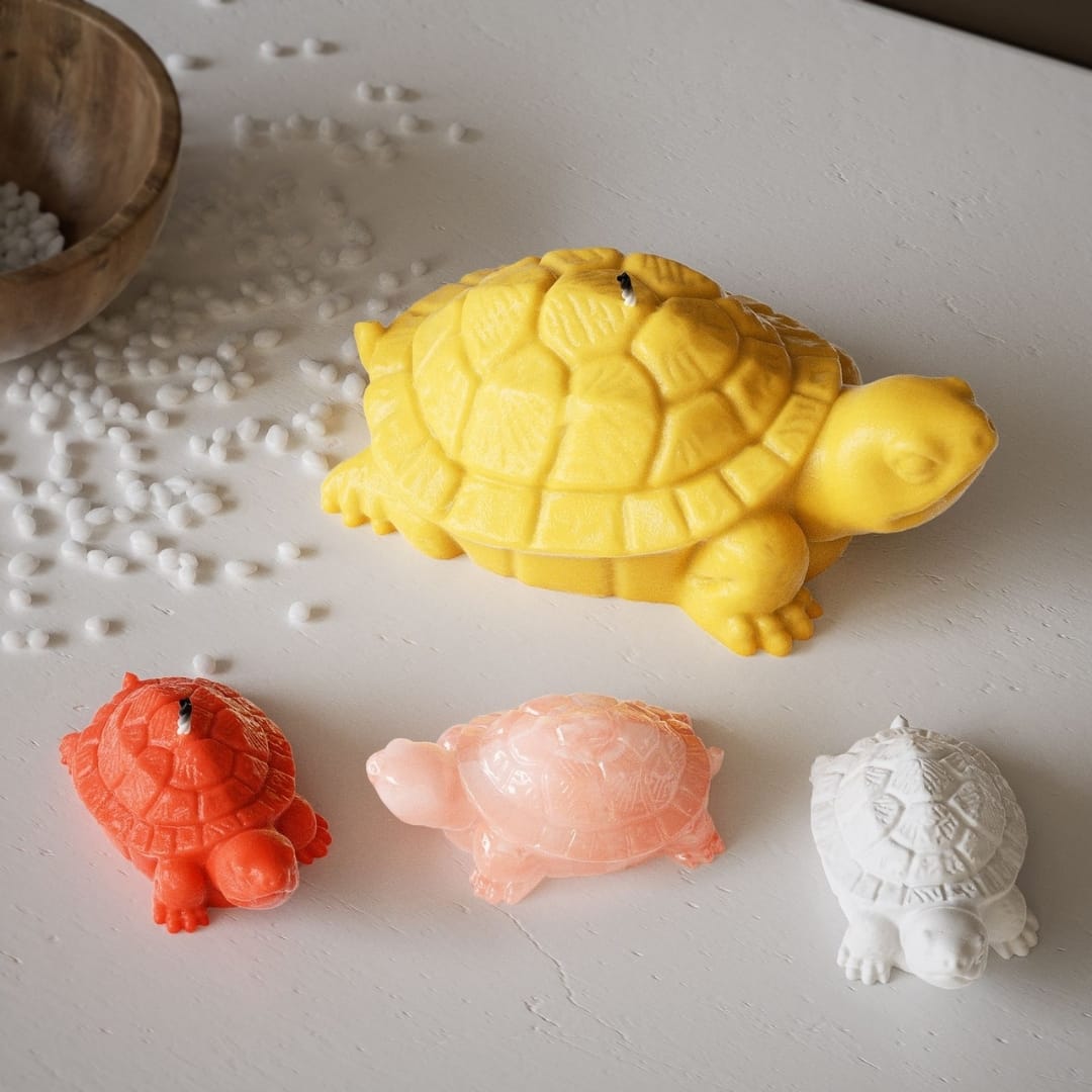 Small Turtle Mold - Image 9