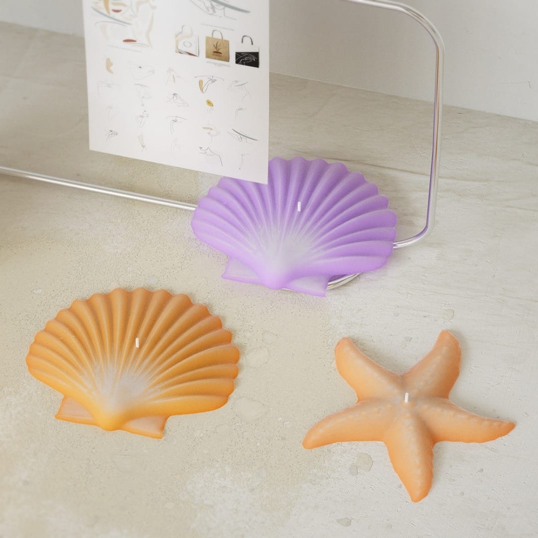 Sea Pearl Shell Candle Mold - Image 4