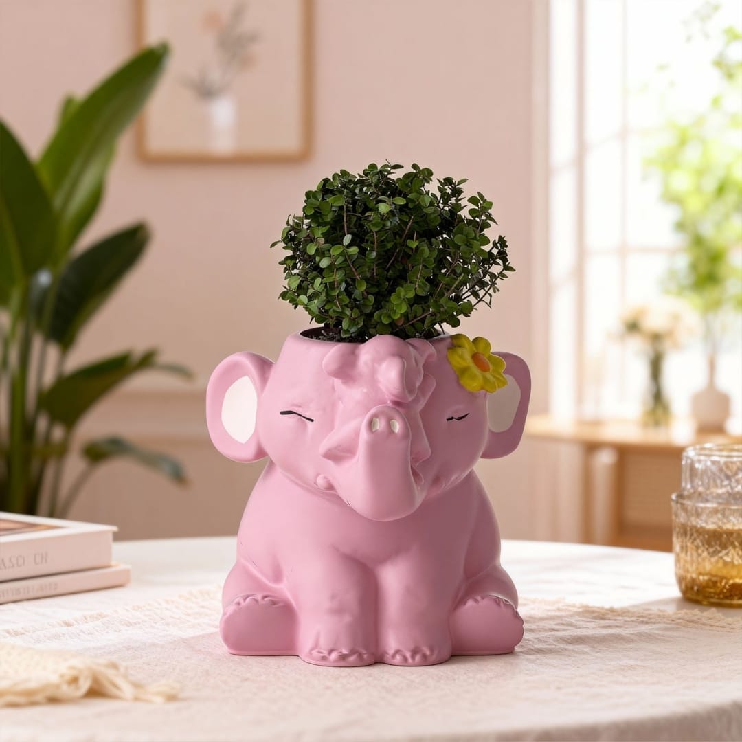 Elephant Storage Box Mold - Image 5